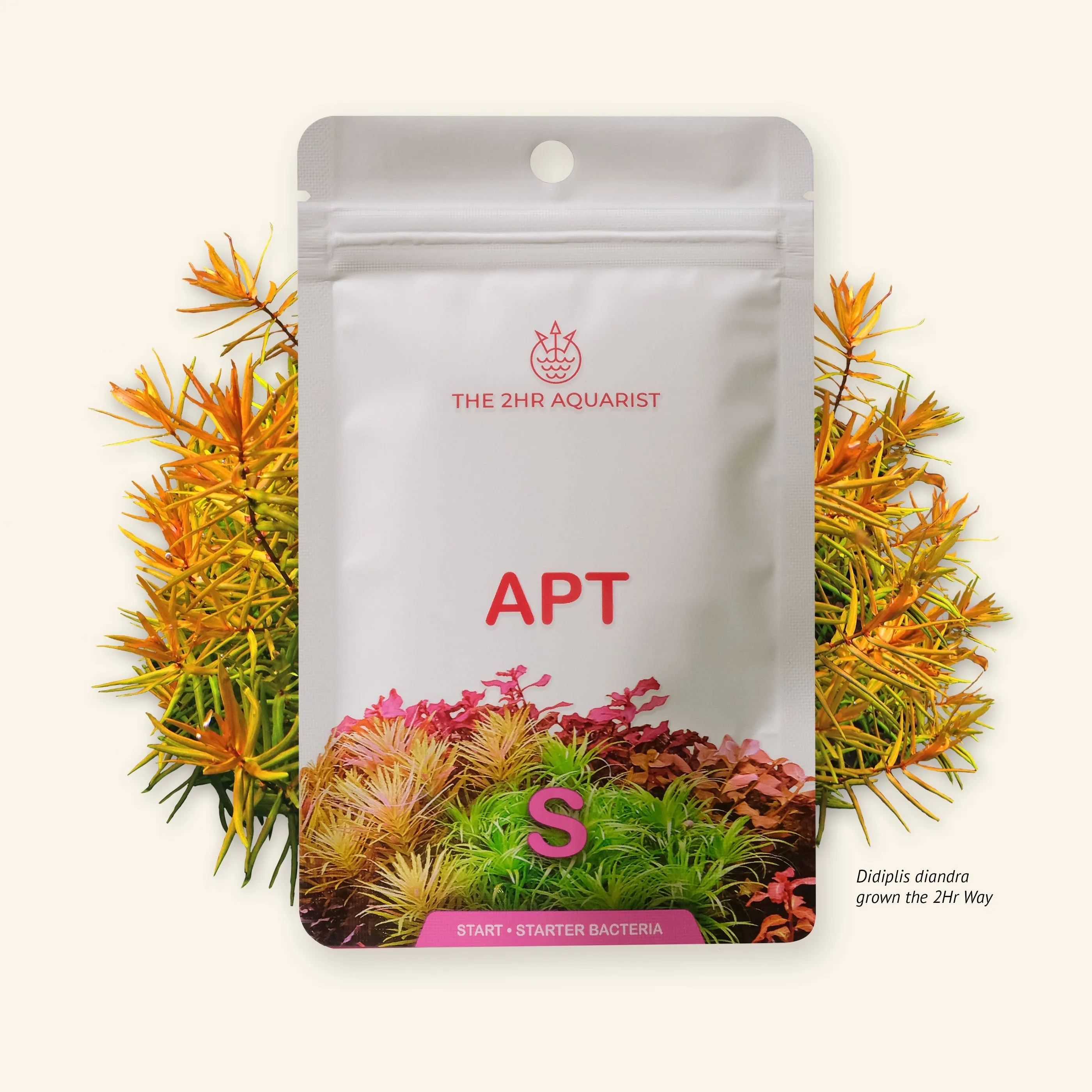 2Hr Aquarist APT Start 45g