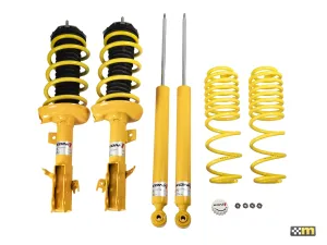 mountune Clubsport MRX Adjustable Suspension Upgrade - Fiesta ST