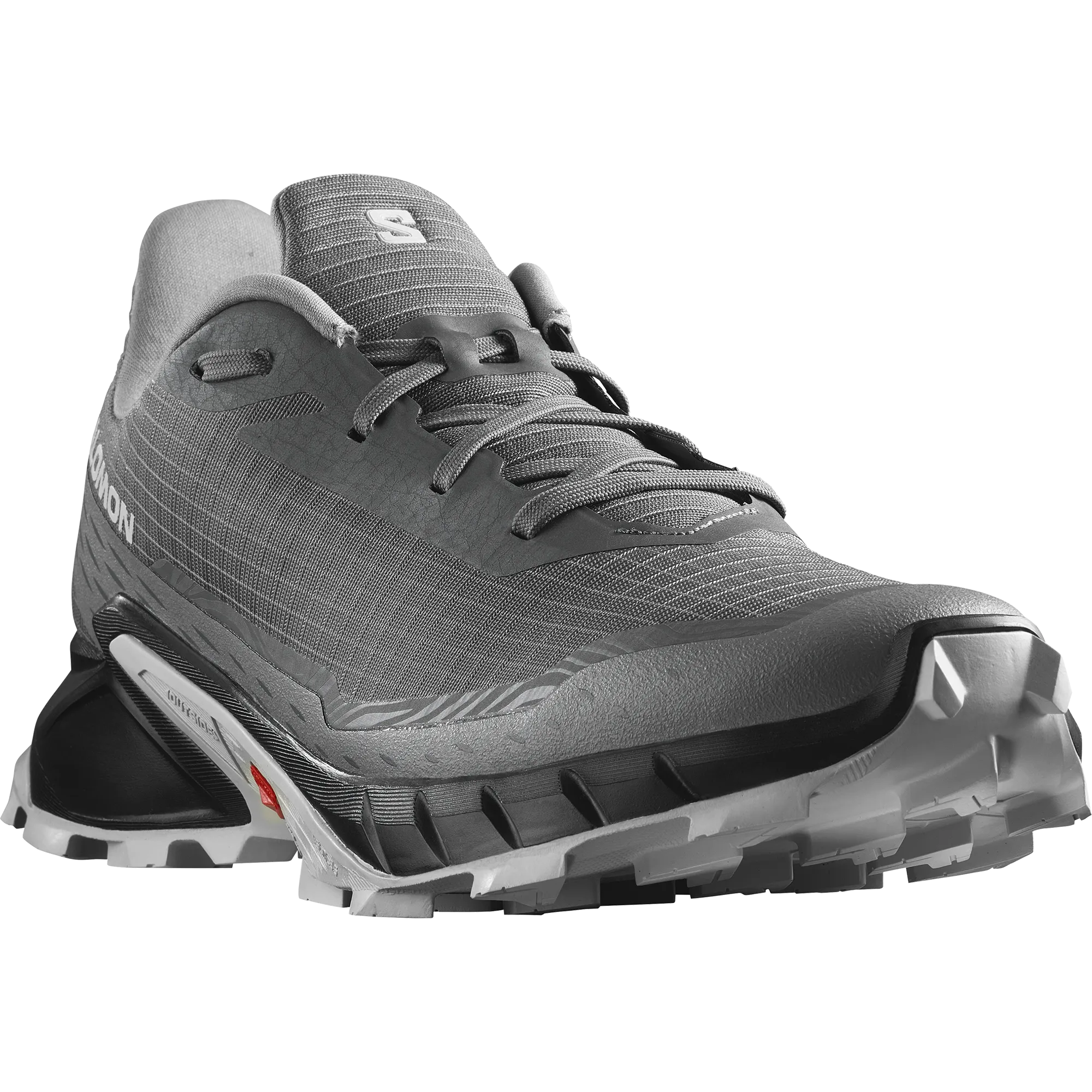 Salomon Men's Alphacross 5 Gore Tex in Pewter